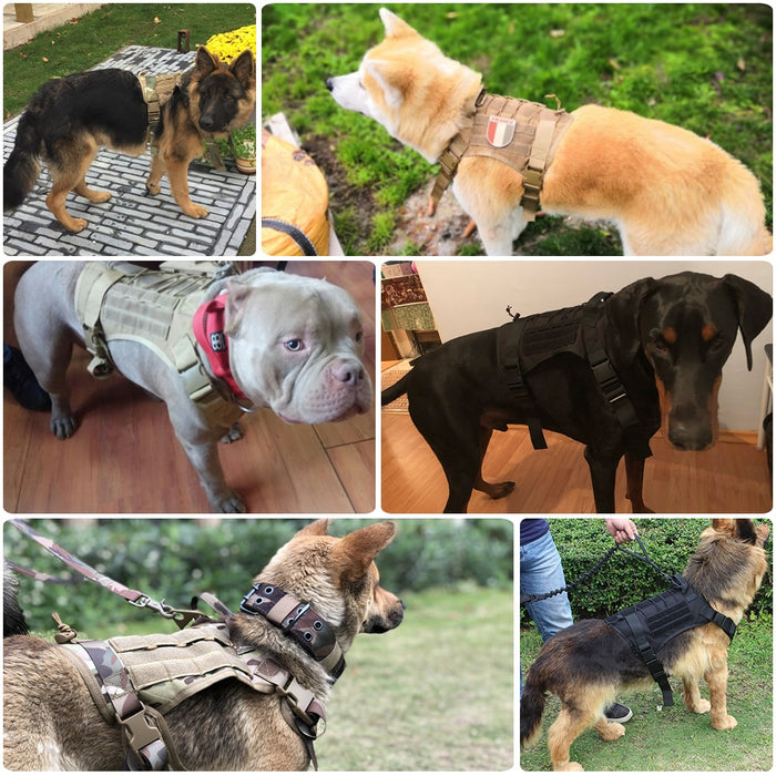 OEIS Private Security and Investigation - Military Tactical Dog Harness freeshipping - OEIS Private Security and Investigation