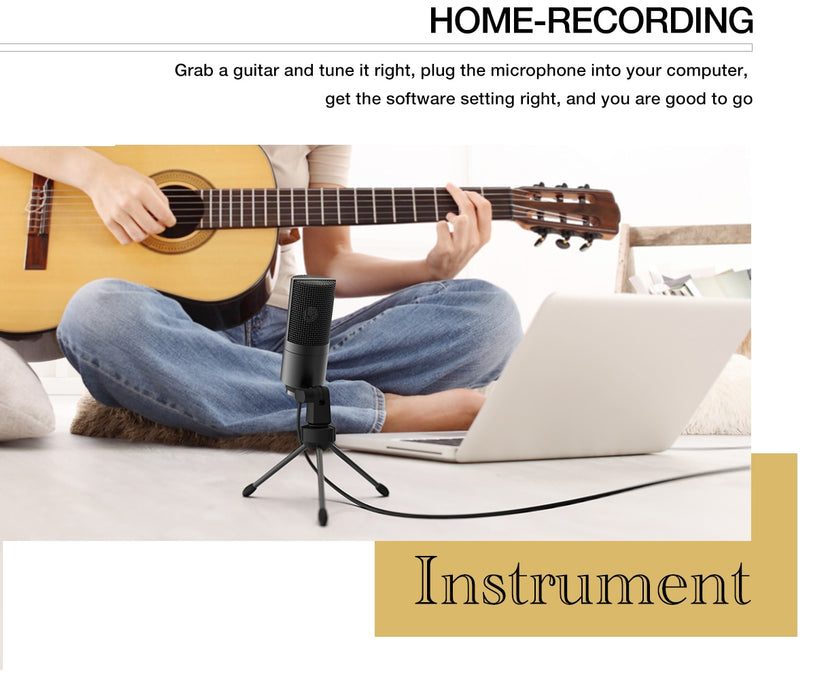 OEIS Private Security and Investigation - Recording Condenser Microphone For Studio Recording Vocals  Voice Over or even YouTube freeshipping - OEIS Private Security and Investigation