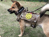 OEIS Private Security and Investigation - Military Tactical Dog Harness freeshipping - OEIS Private Security and Investigation