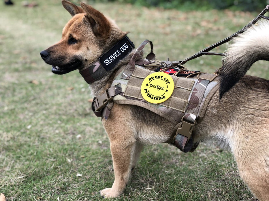 OEIS Private Security and Investigation - Military Tactical Dog Harness freeshipping - OEIS Private Security and Investigation